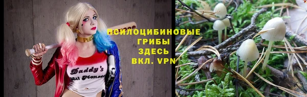 амф Ростов