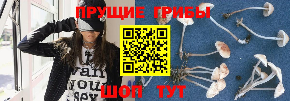 Псилоцибиновые грибы мухоморы  Вход с VPN  Псилоцибиновые грибы ЛСД  Советск 