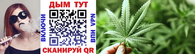 Бошки Шишки план  Советск 